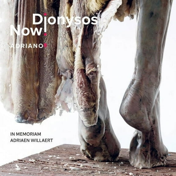 Dionysos Now - Adriano 5 - Music & Performance - CD