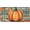Pumpkin Flower Trellis, variant on Decorative Design Vanity License Plate, Decorative Car Tag, Aluminum, 4-Hole, 6 x 12 Inch