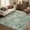 Green, variant on MICGEEK 2'x3' Abstract Area Rugs, Stain Resistant Washable Throw Rugs for Entrance Entryway, Modern Small Area Rug Front Door Mat Entrance Doormat with Non-Slip Backing, Brown