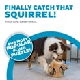 thumbnail image 2 of Outward Hound Hide-A-Squirrel Dog Toy – Interactive 2‑in‑1 Plush Puzzle with 3 Squeaky Removable Squirrels, Medium, 2 of 4