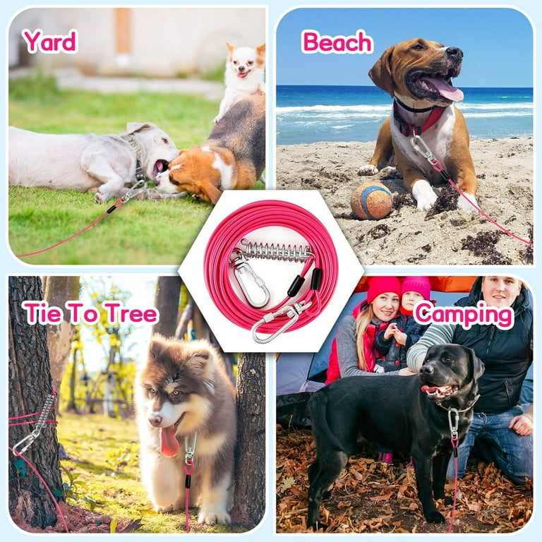 Retractable dog best sale leash for yard