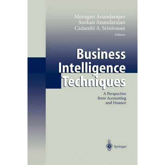 Business Intelligence Techniques: A Perspective from Accounting and Finance, (Paperback)
