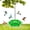 Green, variant on Hummingbird Feeders for Outdoors, 30 Feeding Ports, with Ant Moat, Easy to Clean Bird Feeder for Gardens, Leak-Proof Design Outdoor Decor, Gifts for Pet Bird owners Mom&Women, Green