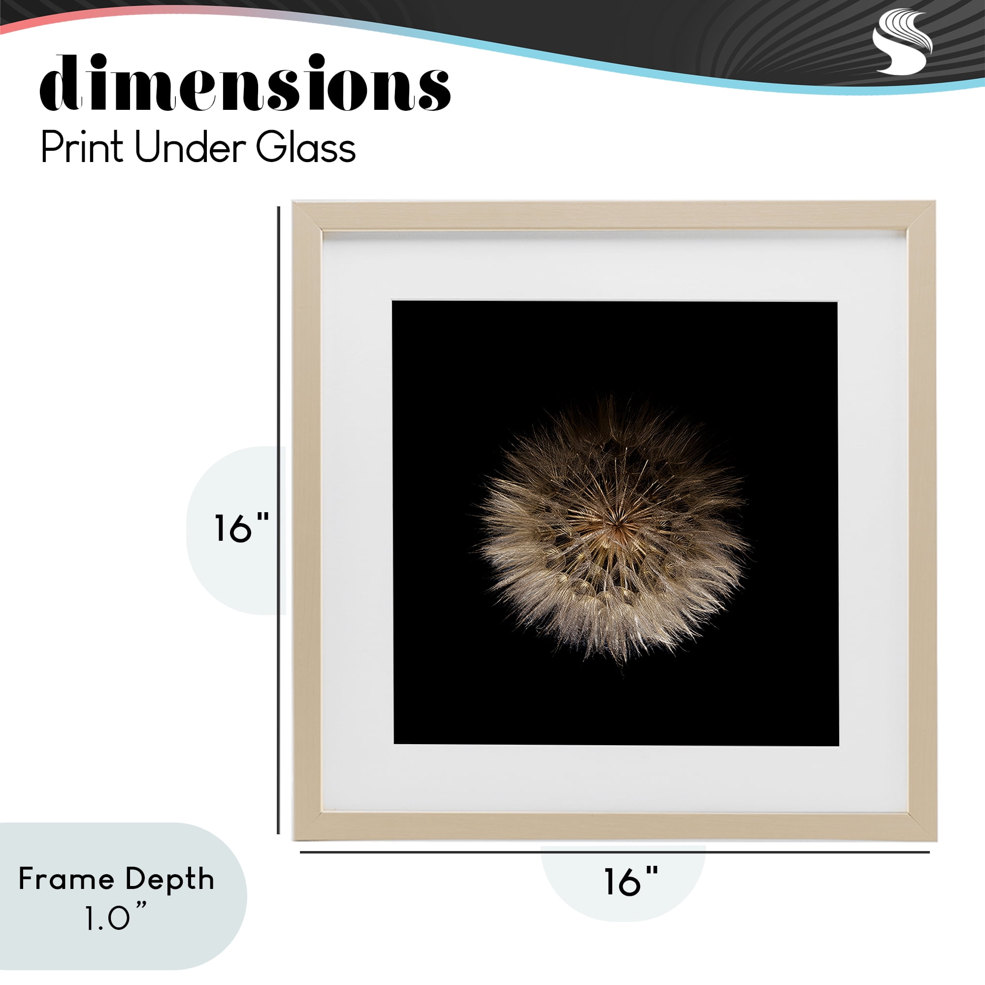 Stupell Industries Wispy Dandelion on Black Birch Framed Print Under Glass, design by Beth Adoette