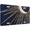 Pattern-1, variant on Elegant Metallic Gold Zebra Black Animal Print License Plate for Car or Truck, Aluminum Front License Plates with 4 Holes, 6×12 inch Decorative Novelty Metal Sign