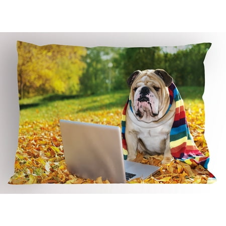 English Bulldog Pillow Sham Dog in the Park with a Laptop and Rainbow Colored Scarf Funny Photography, Decorative Standard Size Printed Pillowcase, 26 X 20 Inches, Multicolor, by Ambesonne