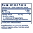 thumbnail image 3 of Life Extension Skin Restoring Ceramides – Wheat Oil Extract – Hydrates & Smooths the Appearance of Fine Lines & Wrinkles – Gluten-Free, Non-GMO, 1-Daily, Vegetarian – 30 Liquid Capsules, 3 of 9