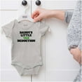 thumbnail image 5 of Daddys Little Tax Deduction Dad Joke Romper Boys or Girls Infant Baby Brisco Brands 12M, 5 of 6