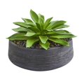 thumbnail image 1 of Nearly Natural 8400 Large Succulent Artificial Plant in Decorative Bowl, 1 of 4