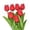 Red, variant on Floral Bouquets for Home Elegant Decoration Set for Living Room Bedroom or Bathroom Ideal for Holidays Weddings and Seasonal, 13.4x1.2 inch, Peach