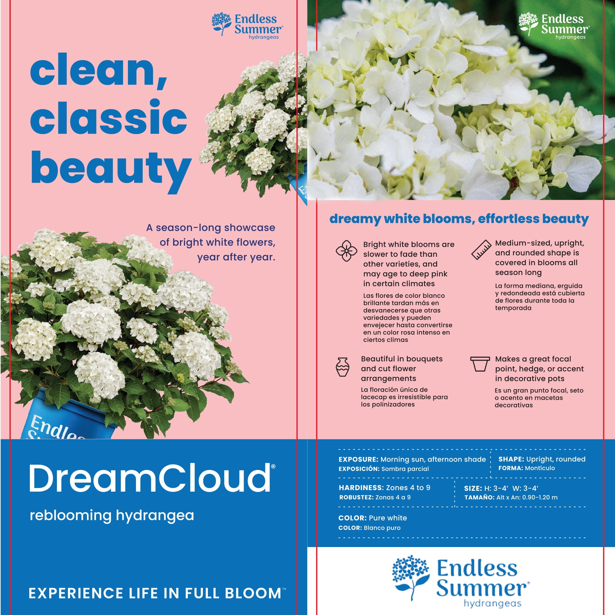 Endless Summer Dream Cloud Reblooming Hydrangea Live Shrub in 1-Gallon Grower Pot