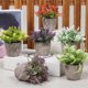 thumbnail image 4 of 6 Piezas de Plantas Artificiales Mini Macetas, Planta de Plástico, Flor Verde en Maceta, Decoración de Mesa, Escritorio de Computadora, 4 of 4
