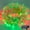 Red Green-100 LED, variant on 100 LED Red Green String Lights Indoor Outdoor Holiday Decor