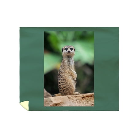 Meerkat Bedding King Size Meerkat Bedding King Size