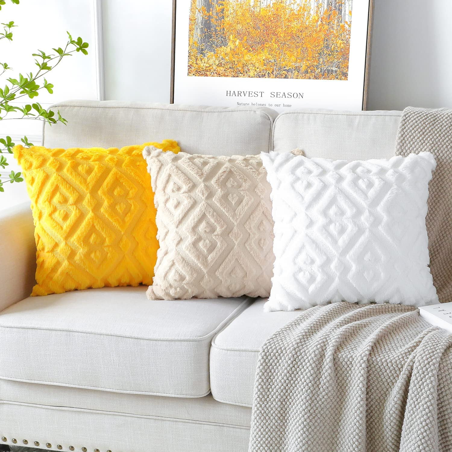Beige and white cushions discount
