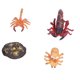 thumbnail image 4 of Modelos De Etapa De Crecimiento De Escorpión, 4 Etapas Modelo De Escorpión Juguete Curiosity Plastic Para Niños Juguete Cognitivo Para Niños Para Material Didáctico Escolar ANGGREK No, 4 of 7