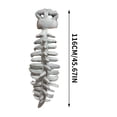 thumbnail image 4 of 116Cm Dinosaur Skeleton Head Plush Toy, Cute And Adorable Design With Soft Plush Fabric, Full Filling, And Intricate Embroidery, Perfect Birthday And Graduation Gifts For Friends, 4 of 6