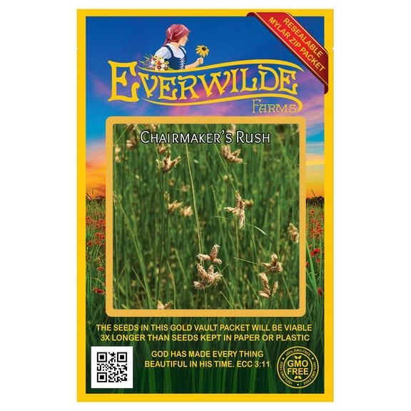 Everwilde Farms - 150 Chairmaker's Rush Native Grass Seeds - Gold Vault Seed Packet