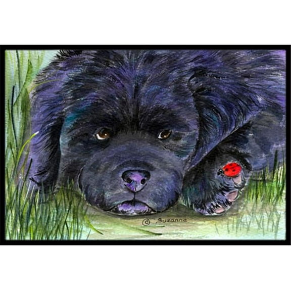 Carolines Treasures  18 x 27 in. Newfoundland Indoor Outdoor Doormat