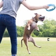 thumbnail image 4 of Juguete para perros Chuckit! Rueda Fetch Rueda Robusta para perros medianos, 4 of 6