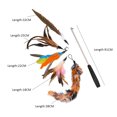 thumbnail image 3 of Cat Pet Feather Wand Cat Interactive Retractable Feather Toys Teaser with Bell 5 pcs Feather Replacement, 3 of 7