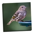 thumbnail image 2 of Gango Home Decor Pine Siskin by Stan Hellmann (Ready to Hang); One 24x24in Hand-Stretched Canvas, 2 of 4