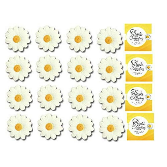 12pk White Blossom Daisies Edible Sugar Decoration Toppers for Cakes Cupcakes Cake Pops
