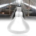 thumbnail image 4 of LAFGUR Pig Heat Lamp, Livestock Bulb,1Pc Pig Piglet Thick Heat Lamp Waterproof Explosion-Proof Light Bulb Dot, 4 of 8