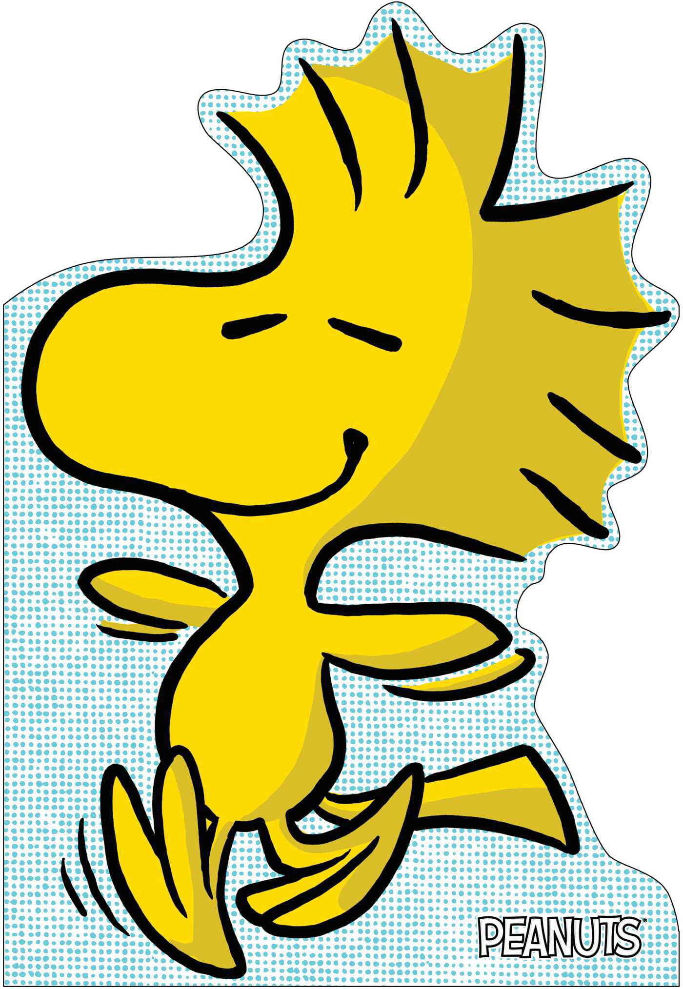A Best Friend for Woodstock (Part of Peanuts) By Charles M. Schulz and