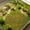 🎁 Multicolor_Hot#803, variant on Aquarium Grass Mat Substrate for Aquatic Plants – Artificial Dense Green Grass Decor, Soft Plastic Fish Tank Flooring for Safe, Realistic Underwater Landscaping