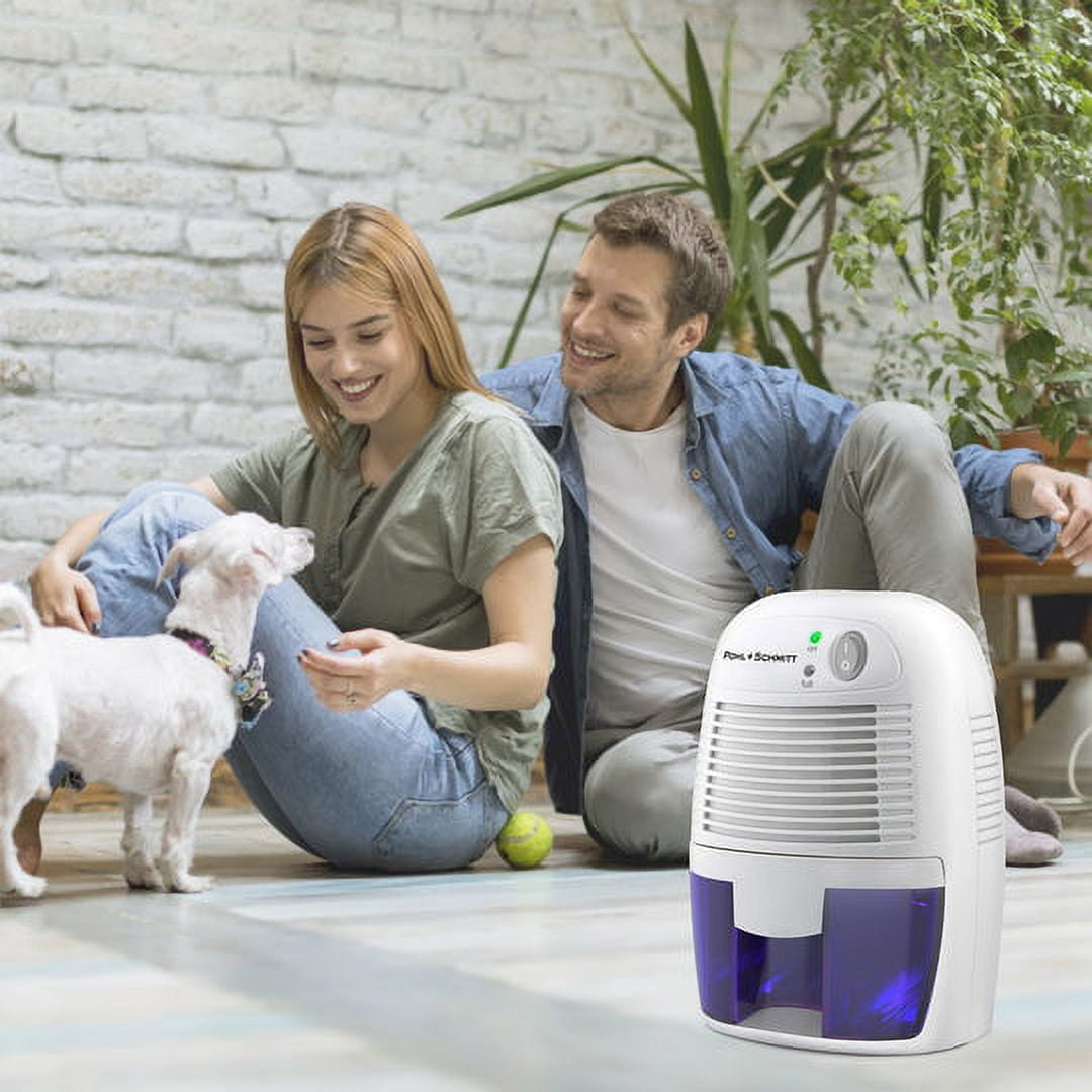 Pohl Schmitt 225 sq ft Dehumidifier - Quiet and Portable