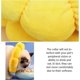 thumbnail image 4 of Adjustable Cat Collar Recovery Collar Soft Cone Collar for Collar Pet Medical Suitable for Rehabilitation Cat and Dog, 4 of 5