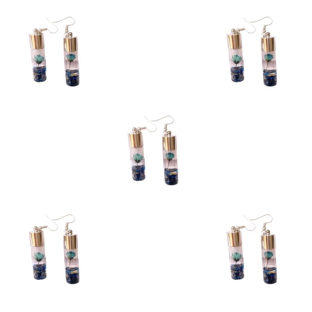 Qarigey 1 par de pendientes de gota para mujer, pendientes colgantes de botellas de cristal, accesorios de joyería delicados elegantes para Type2 NO2