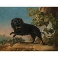thumbnail image 3 of Jean-Jacques Bachelier 14x12 Black Modern Framed Museum Art Print Titled - Mimi, the Favorite Dog of Madame De Pompadour (1762), 3 of 5