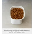 thumbnail image 4 of Yamazaki Home Tilted Pet Food Bowl, White, Ceramic, 6.7oz, Dishwasher Safe, 4 of 7