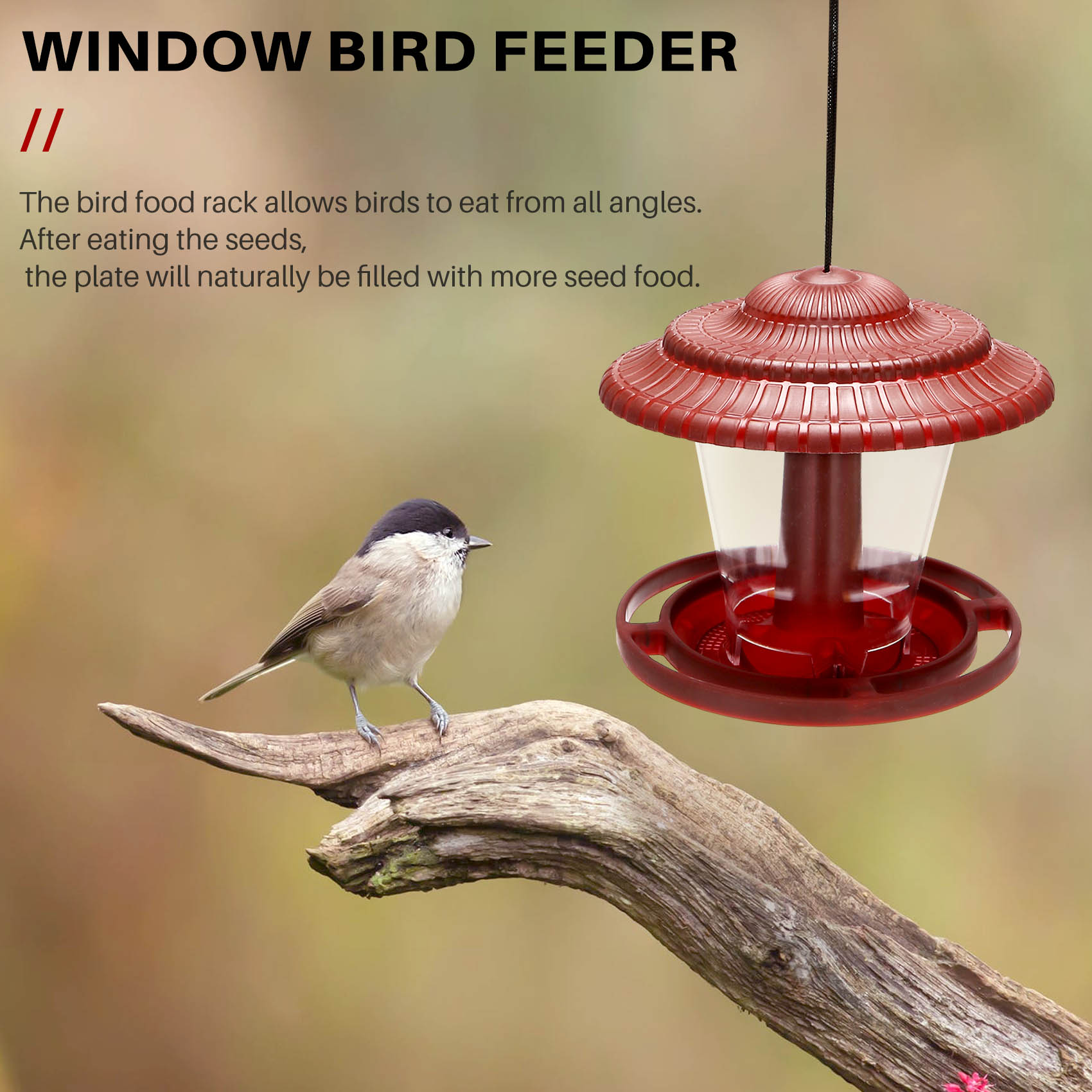 Bird Feeder Waterproof Plastic Hanging Bird Food Container Outdoor