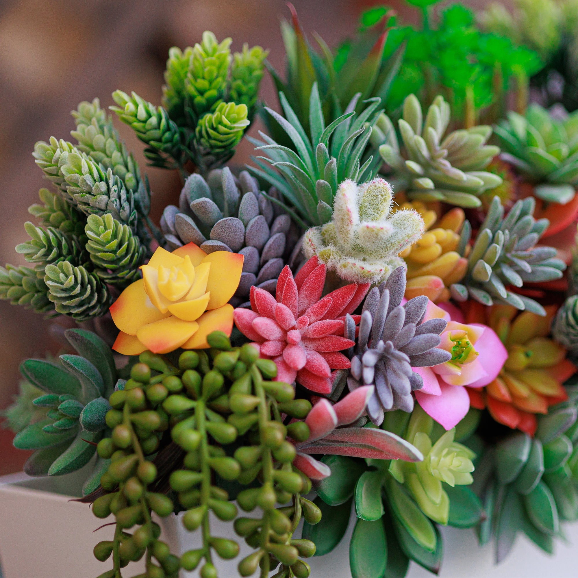 50 Pack Bulk Large Assorted Realistic Artificial Faux Succulents Aloe Plants Realistic Fake Succulent Plants, Largest Set of Succulents