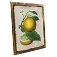 thumbnail image 1 of Framed, Outdoor Lemon Vintage Illustration 9"x12" Metal Sign, Wall Decor for Porch, Patio, or Deck, Hand-Crafted from reclaimed materials, 1 of 4