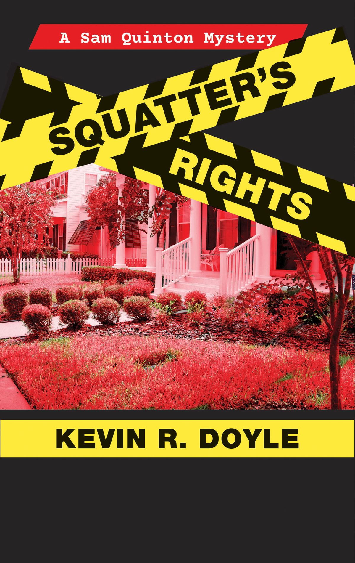 Squatters Rights eBook