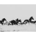 thumbnail image 2 of LightBoxJournal 24x19 Gold Ornate Wood Framed with Double Matting Museum Art Print Titled - Wild Horses of the Great Basin 00, 2 of 4
