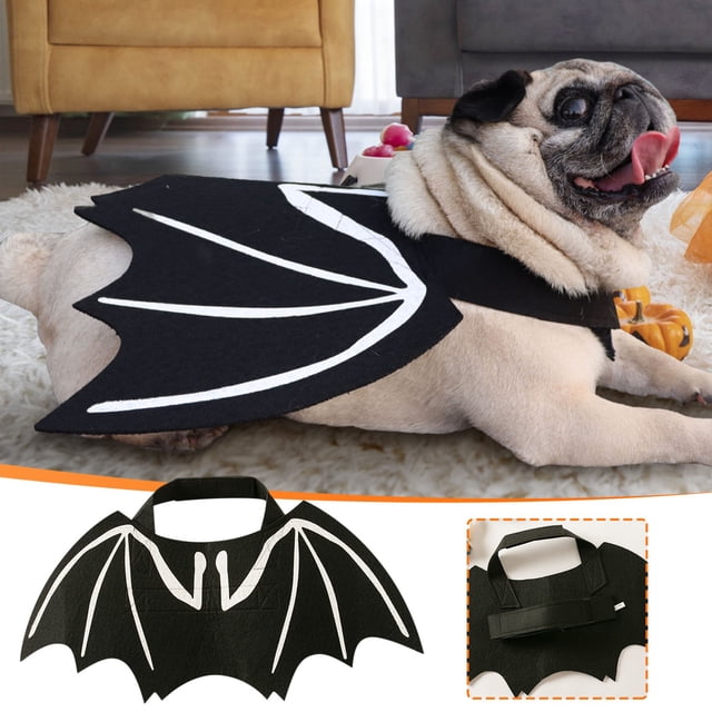 Es El Halloween Perfecto, Es El Cosplay de Mascotas y Es Brillante, Es Misterioso, Es Fiesta, Es Material, Es Halloween, Es Halloween, Es Halloween, Es Genial.
