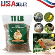 Angle View: 11 LBS Bulk Dried Mealworms for Wild Birds Food Blue Bird Chickens Hen Treats