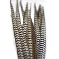 thumbnail image 3 of Zucker Feather Products Venery Pheasant Tails - Natural - 30-40" - 12 pcs - Natural, 3 of 8
