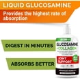 thumbnail image 2 of Liquid Glucosamine for Dogs (16 oz) - Joint Supplement w/Chondroitin, MSM, Collagen - Advanced Mobility Formula - Joint Pain Relief - Hip & Joint Care - Easy to Serve Drops - Made in USA, 2 of 8