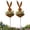 2 Pcs, variant on DAMAI Easter Vintage Metal Rabbit Shaped Planter Garden Stake, Rusty Rustic Patina Finish Bunny Decor for Small Flowers, Yard, Lawn & Spring Outdoor Displays