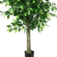 thumbnail image 5 of SAFAVIEH Faux Bush Ficus 55" Potted Tree, Green, 5 of 6