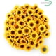 thumbnail image 4 of 100 Uds. Girasoles artificiales amarillos de cabeza de girasol de rayón para decoración de hogar, jardín, oficina, fiesta de boda, ramo de Navidad (diámetro: 7cm) Zhivalor Decoración, 4 of 4