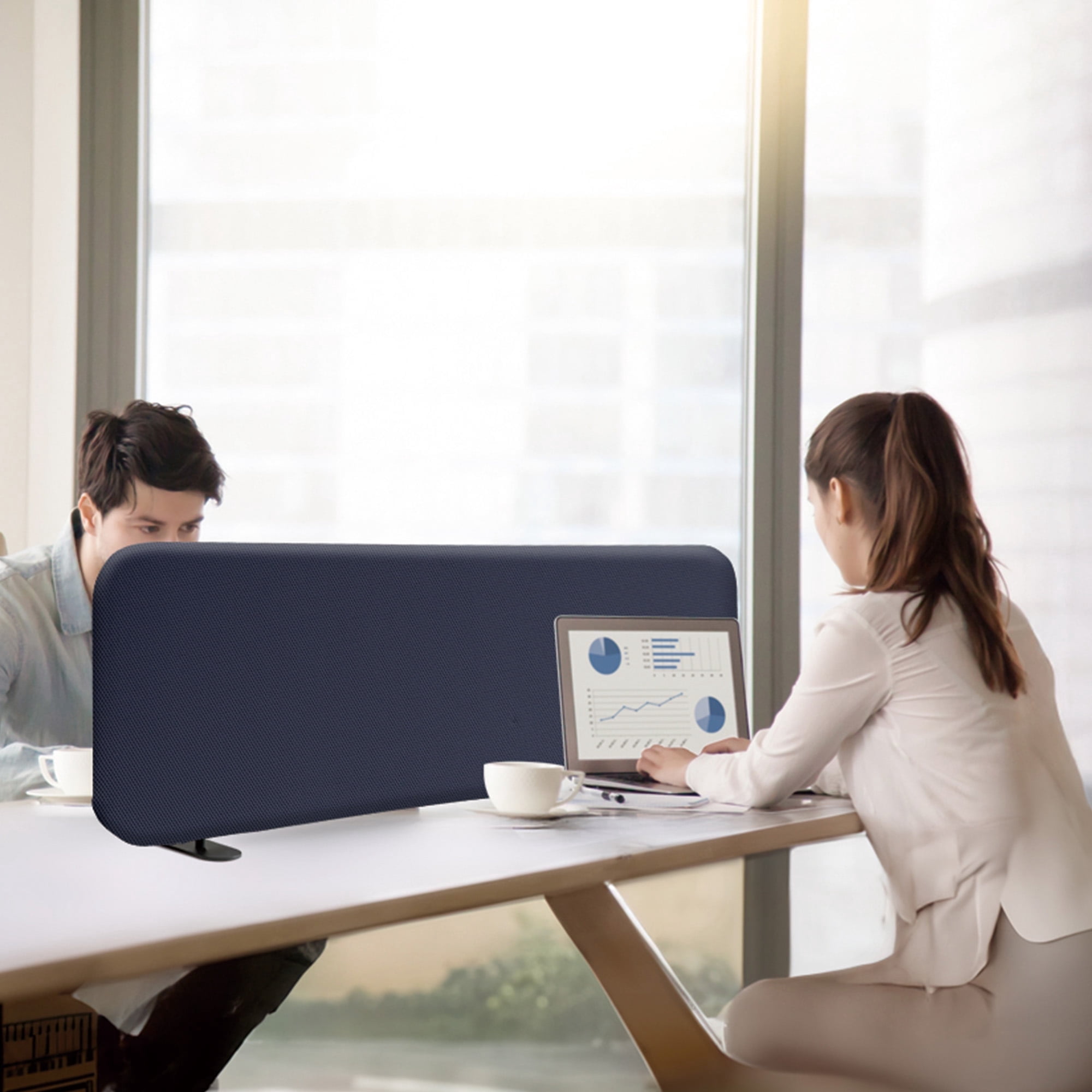 DECOLAB Freestanding Desk Divider, Portable Desk Privacy Panel Shield for Office, Student, Classroom, 48"x18", Cobalt