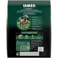 thumbnail image 3 of Iams Advanced Health Skin & Coat Chicken And Salmon Recipe Adult Dry Dog Food, 13.5 Lb Bag, 3 of 15