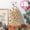 B, variant on Christmas Candy Bags Set of 50 Clear Plastic Treat Bags for Cookies Snacks Holiday Party Favor present Wrapping